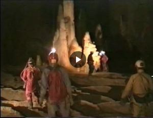 Le berger du CDS 91